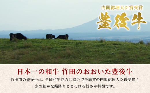 【定期便】日本一の和牛 おおいた豊後牛