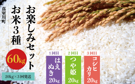 お米3種お楽しみセット60kg kg 3回発送 令和3年1月 3月 5月お届けコース 山形県真室川町 ふるさと納税 ふるさとチョイス