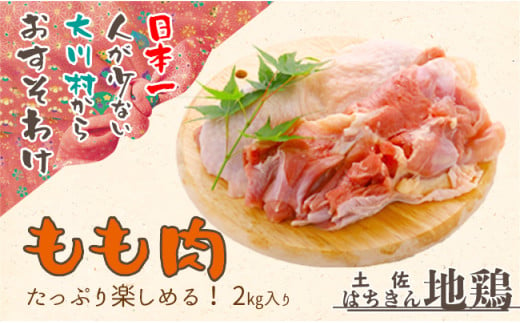 地鶏 土佐はちきん地鶏もも肉 ２kg - 高知県大川村｜ふるさとチョイス