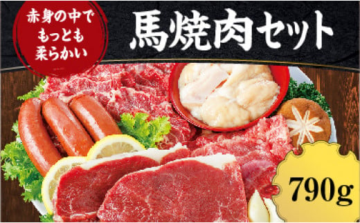 A006 熊本 馬刺し専門店の馬焼肉セット カルビ ロース ステーキ ホルモン 馬肉ウインナー 熊本県南阿蘇村 ふるさと納税 ふるさとチョイス