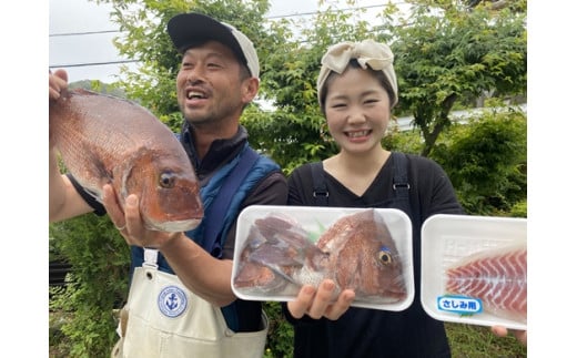 冷蔵 お炭付き鯛 養殖真鯛 活け締め ブランド たい 産直 新鮮 海鮮 三重県 伊勢志摩 三重県南伊勢町 ふるさと納税 ふるさとチョイス