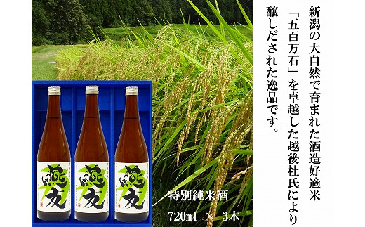燕友 特別純米酒 7ml 3本入りギフト Fc 新潟県燕市 ふるさと納税 ふるさとチョイス