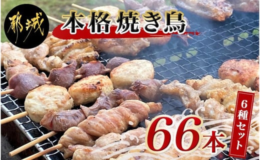 職人串打ちの本格焼き鳥66本 宮崎県都城市 ふるさと納税 ふるさとチョイス