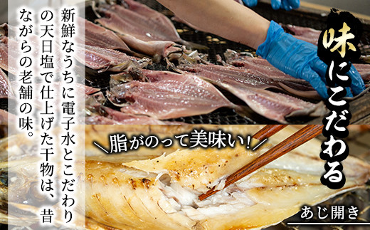 Akune 1 1 鹿児島県産 干物など詰め合わせ 4種 鯵 アジ 鯖 サバ など干物22枚にいわしフライ10枚の計32枚セット あくねのお魚づくし 又間水産 1 1 鹿児島県阿久根市 ふるさと納税 ふるさとチョイス