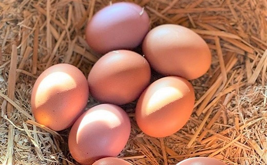 すぎう卵の卵は全て有精卵です。