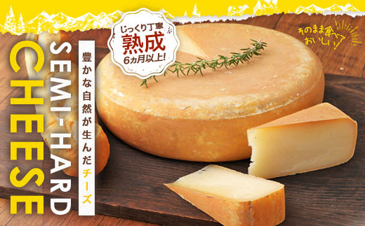 益城 6ヵ月熟成 チーズ 1ホール 合計約5.5kg 九州 おつまみ