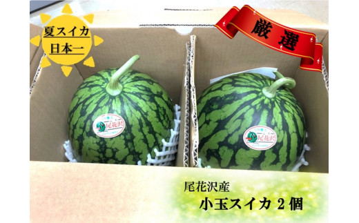 令和3年産の尾花沢スイカ。早期予約の受付を開始しました!