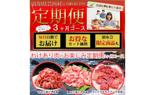 ふるさと納税 訳あり 定期便 肉 豚 薄切り わけあり肉の お楽しみ 定期便 3ヶ月コース 高知市共通返礼品 高知県芸西村 ふるさと納税 ふるさとチョイス