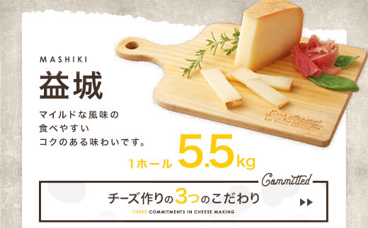 益城 6ヵ月熟成 チーズ 1ホール 合計約5.5kg 九州 おつまみ