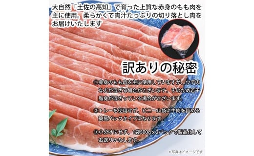 ふるさと納税 訳あり 定期便 肉 豚 薄切り わけあり肉の お楽しみ 定期便 3ヶ月コース 高知市共通返礼品 高知県芸西村 ふるさと納税 ふるさとチョイス