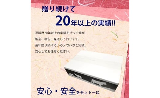 ふるさと納税 訳あり 定期便 肉 豚 薄切り わけあり肉の お楽しみ 定期便 3ヶ月コース 高知市共通返礼品 高知県芸西村 ふるさと納税 ふるさとチョイス