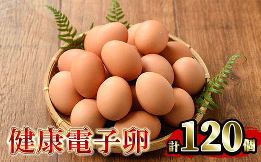 A-1635H 健康電子卵（鶏卵）12パック 120個入り 253615 - 鹿児島県いちき串木野市