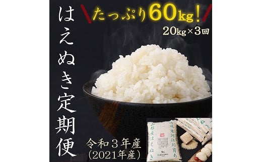 令和3年産 計60kg お米定期便 kg 3回 清流寒河江川育ち 山形産はえぬき 選べる配送時期 21年産 先行予約 054 C01 山形県寒河江市 ふるさと納税 ふるさとチョイス