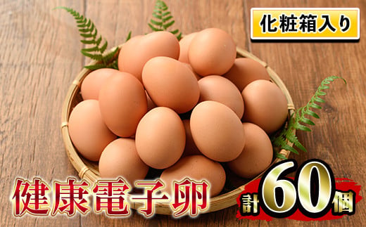 A-1634H 健康電子卵（鶏卵）6パック 60個入り 253614 - 鹿児島県いちき串木野市