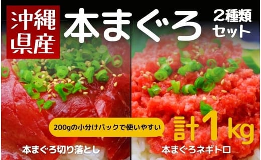 沖縄県産本まぐろ切り落とし ネギトロセット1kg 0g 5パック 沖縄県那覇市 ふるさと納税 ふるさとチョイス