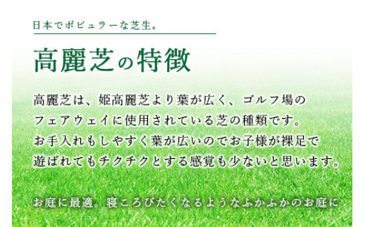 高麗芝 2平方メートル 冷蔵配送 2か月以内に順次出荷 宮崎県高鍋町 ふるさと納税 ふるさとチョイス