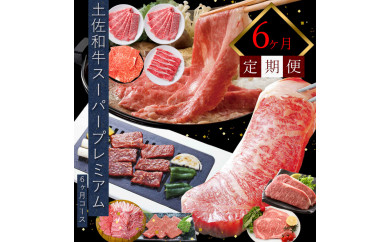 定期便 肉 お楽しみ 牛肉 豚肉 土佐和牛スーパープレミアム6ヶ月コース＜高知市共通返礼品＞