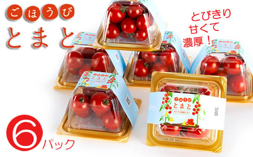 トマト ごほうび とまと 6パック フルーツ ミニトマト 野菜 果物 糖度 濃厚 甘い 253878 - 埼玉県羽生市