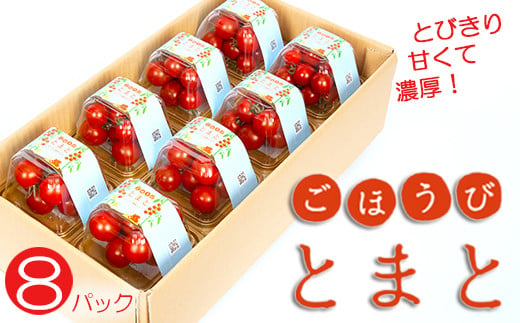 トマト ごほうび とまと 8パック フルーツ ミニトマト 野菜 果物 糖度 濃厚 甘い 253877 - 埼玉県羽生市