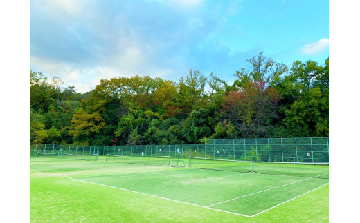 テニスコート 総合スポーツセンター 中央公園 北公園 利用券 奈良県平群町 ふるさとチョイス ふるさと納税サイト