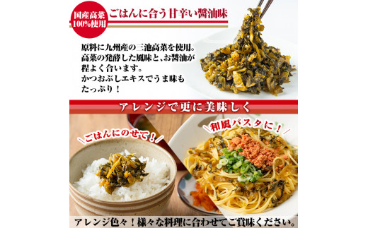 No 567 九州産きざみ高菜しょうゆ漬けセット5kg 1kg 5パック 醤油味の高菜漬はチャーハン ラーメン おにぎり等と相性抜群 九州新進 鹿児島県姶良市 ふるさと納税 ふるさとチョイス