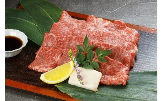 てらおかの能登牛 極上能登牛モモ A5p 焼肉用 450g 石川県志賀町 ふるさと納税 ふるさとチョイス