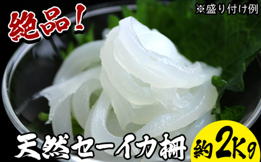 絶品！天然セーイカ（ソデイカ）柵【約2Kg】のサムネイル