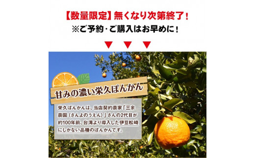 栄久ぽんかん５ｋｇ 静岡県松崎町 ふるさと納税 ふるさとチョイス