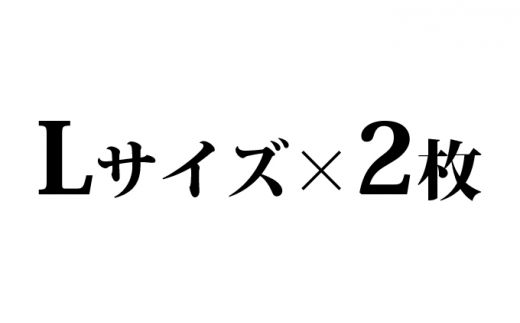 遠州織物ジャカード織 柿渋染めお洒落マスク 2枚セット(L×2) 3554