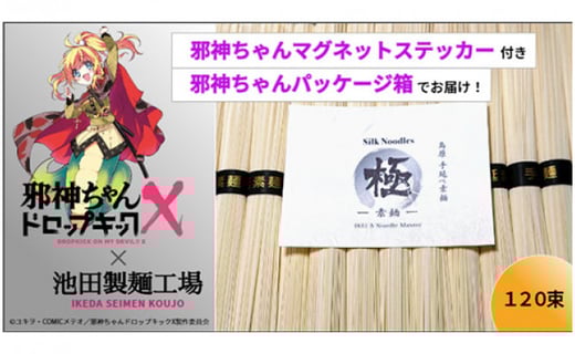 邪神ちゃんドロップキック 島原手延べそうめん 約２ヶ月分 池田製麺工場 長崎県南島原市 ふるさと納税 ふるさとチョイス