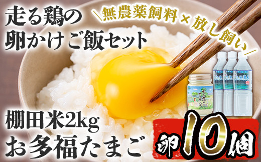 Y279 走る鶏の卵かけご飯セット 卵計10個 1パック 走る鶏のマヨネーズ1本 幸田の棚田米2kg 丸池湧水500ml 3本 極上たまご かけご飯セット お多福たまご 鹿児島県湧水町 ふるさと納税 ふるさとチョイス