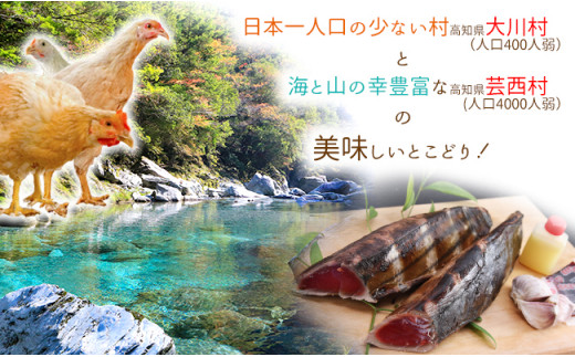 大川村と芸西村の共通返礼品 はちきん地鶏まるごと一羽おためしセット約1kg 仙頭の藁焼きカツオたたき片身 高知県大川村 ふるさと納税 ふるさとチョイス