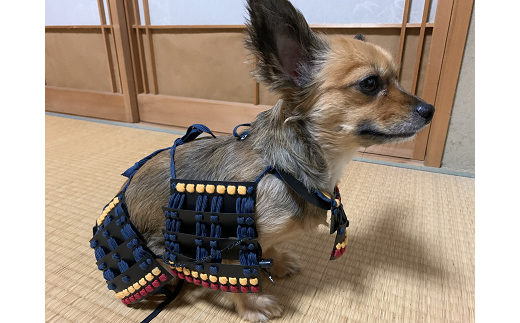 ワンワン甲冑