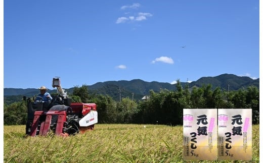 【元気つくし】古賀で育ったおいしいお米＜10kg＞ 365699 - 福岡県古賀市