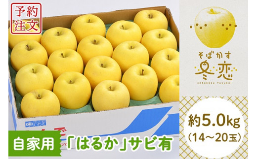 【予約】 F-Sそばかす冬恋(自家用「冬恋(はるか)」サビ有) 約5.0kg 14-20玉【冬恋研究会(JAいわて中央)】