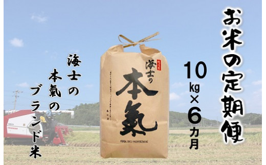 島のお米の定期便 計60kg 本氣米10kg 6か月定期便 島根県海士町 ふるさと納税 ふるさとチョイス