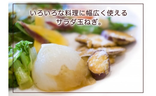 アイテムID:362472の画像5枚目