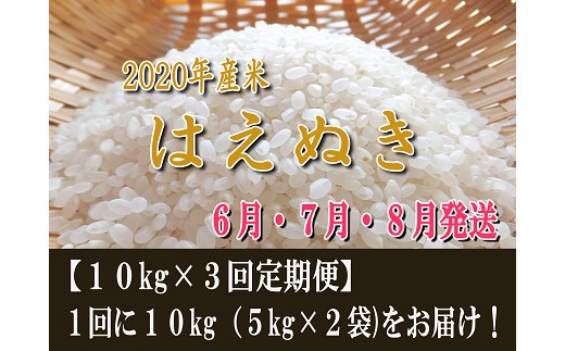 定期便 6月 7月 8月発送 年産 米 はえぬき 10kg ３回 山形県河北町産 一等米 合計 30kg 河北町米穀集荷組合 Z 0058 山形県河北町 ふるさと納税 ふるさとチョイス