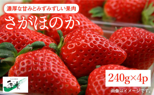 1月日以降順次発送 酸味控えめで美味しい さがほのか 240g 4パック 佐賀県農業協同組合 Fbe016 佐賀県吉野ヶ里町 ふるさと納税 ふるさとチョイス