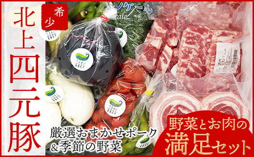 【GIFTON】岩手・北上産四元豚 厳選カット肉と季節のうるおい野菜セット