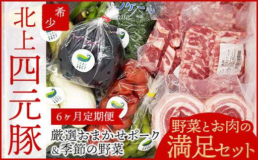 【GIFTON】岩手・北上産四元豚 厳選カット肉と季節のうるおい野菜セット【6ヶ月定期便】