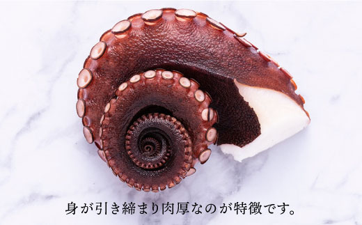 コリコリ肉厚】 ゑべす蛸 計1.5kg（150g×10P）＜大瀬戸町漁協