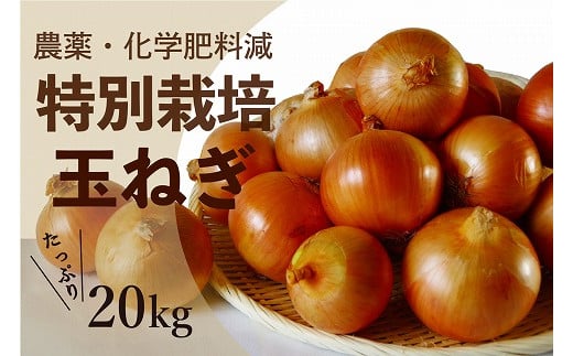 R5年産　玉ねぎ　20kg　特別栽培/010-13054-b01B