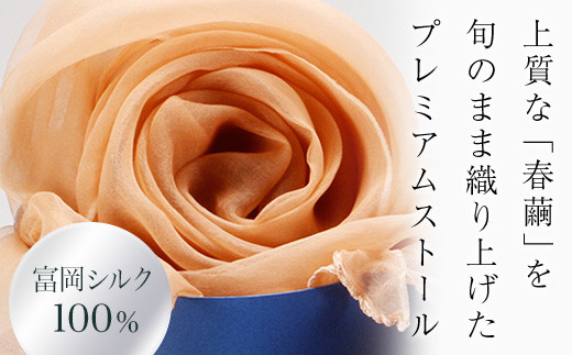 TOMIOKA SILK オーガンジーストール 草木染 ＜アプリコット＞ 富岡シルク ストール 贈り物 ギフト F20E-148 311191 - 群馬県富岡市