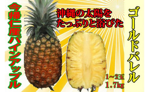 米だけで作った自然食品 甘酒2本入セット 熊本県小国町 ふるさと納税 ふるさとチョイス