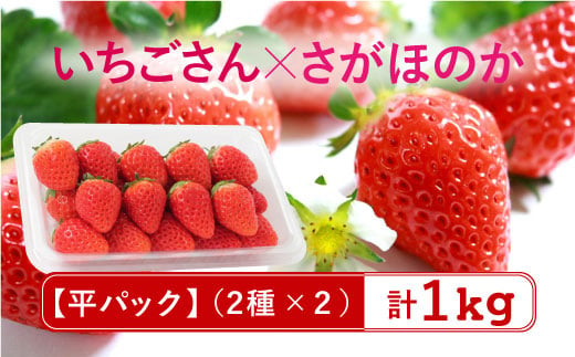 21年1月より配送 佐賀県自慢の2種 さがほのか いちごさん 平パック4p 約1kg 縁ツなぎ Fcc004 佐賀県吉野ヶ里町 ふるさと納税 ふるさとチョイス