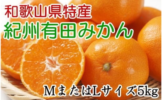 【お歳暮】[厳選]紀州有田みかん5kg(MサイズまたはLサイズのいずれかをお届け・赤秀品)のサムネイル