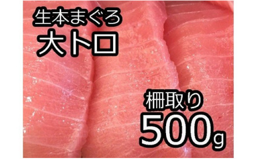 生本まぐろ 大トロ 500g 柵どり 福井県越前市 ふるさと納税 ふるさとチョイス