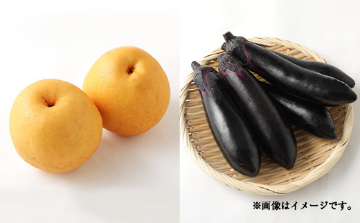 豊野の恵み 野菜 果物 10品目程度 詰め合わせ 盛り合わせ
