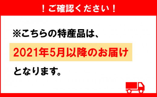 都城産完熟マンゴー A等級 2玉 Ac 0101 宮崎県都城市 ふるさと納税 ふるさとチョイス